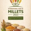 Millet-blogs