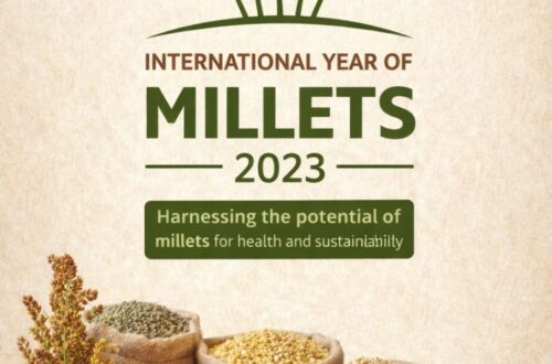 Millet-blogs